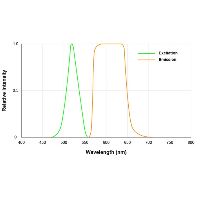 Microscop Fluorescenta VERDE-GALBUIE SI ROSIE cu iluminare 520 nm si filtru 570 nm si 650nm- AM4517MT-YFGW